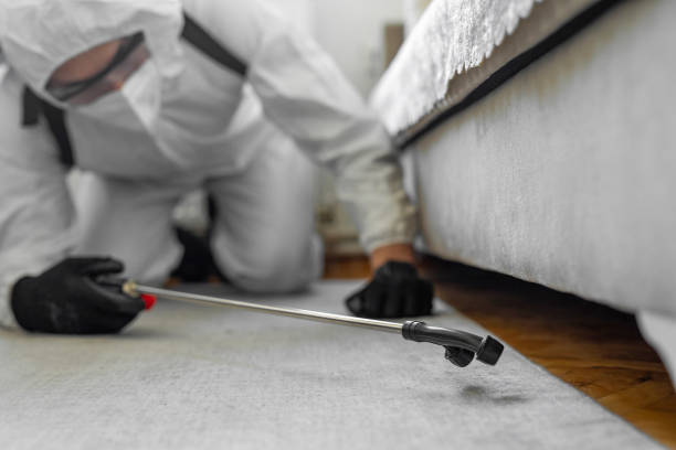Professional Rodent Control technician working in Roosevelt, NY