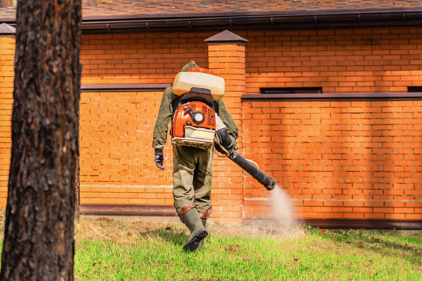 Trusted Termite Control service in Roosevelt, NY - Nex Pest Control